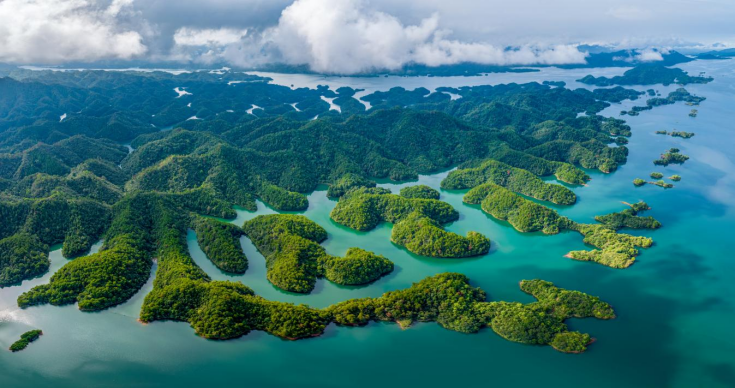 1774940630822712.png image.png